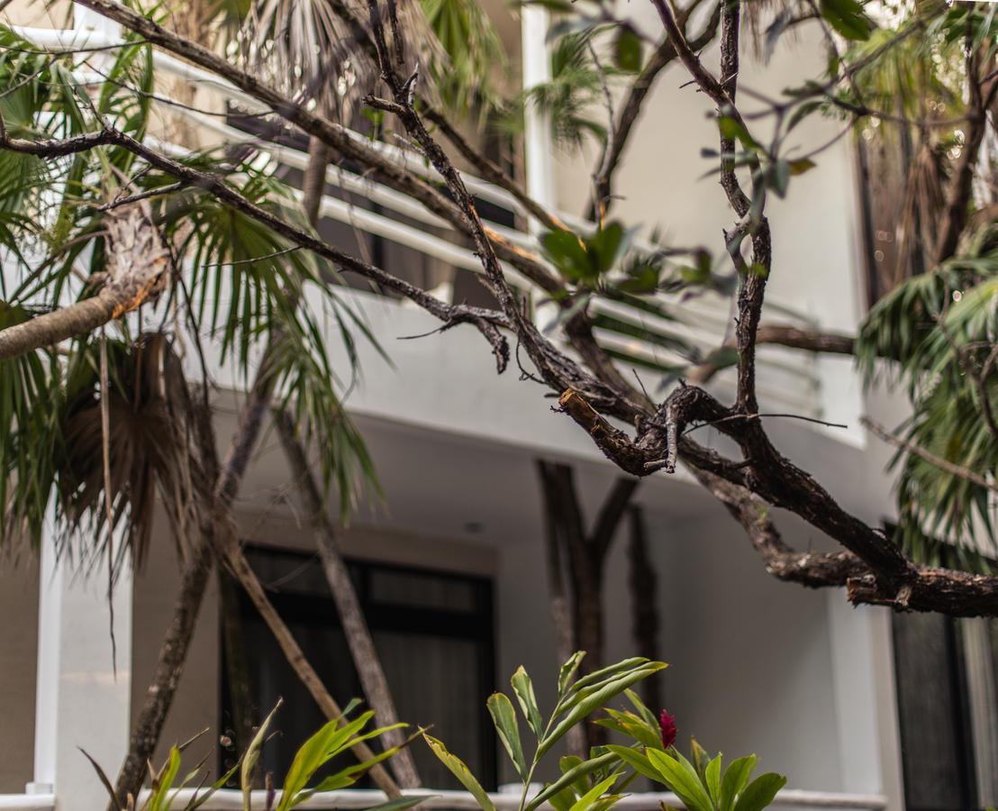 Casa Ambar & Boutique (adults Only) 3*