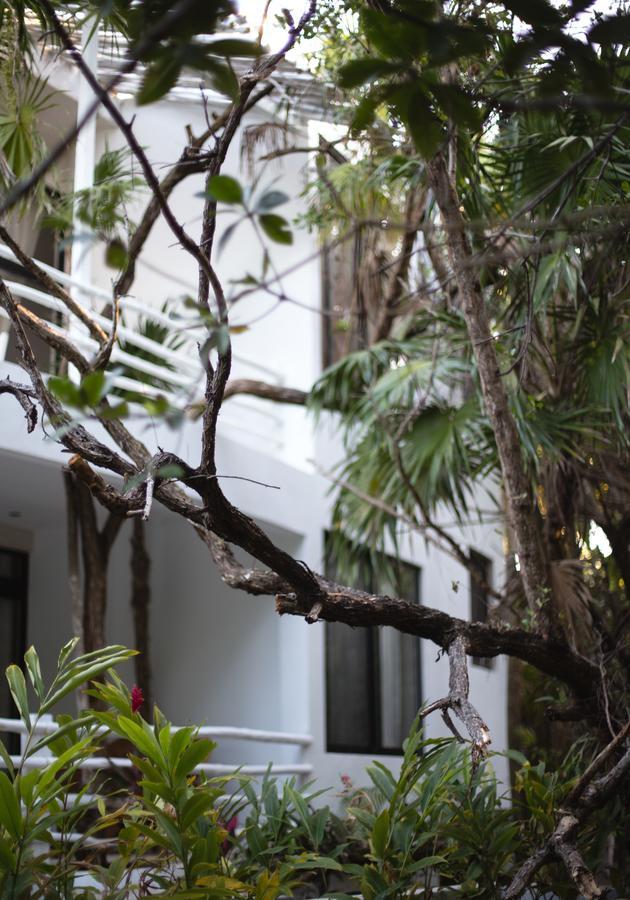 Casa Ambar & Boutique (adults Only) Tulum